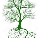 depositphotos_101252164-stock-illustration-tree-with-brain-roots