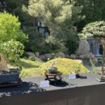IMG_0400
