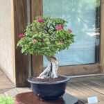 Photo Nov 21, 9 11 07 AM