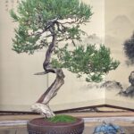 Photo Nov 21, 9 11 28 AM