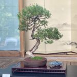 Photo Nov 21, 9 11 43 AM