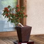 Photo Nov 21, 9 11 51 AM