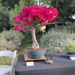 Photo Nov 21, 9 13 15 AM