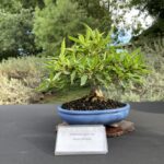 Photo Nov 21, 9 13 22 AM