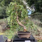 Photo Nov 21, 9 13 27 AM