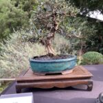 Photo Nov 21, 9 13 31 AM