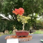 Photo Nov 21, 9 13 44 AM