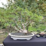 Photo Nov 21, 9 14 03 AM