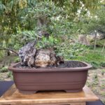 Photo Nov 21, 9 14 10 AM