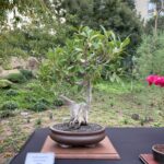 Photo Nov 21, 9 14 14 AM