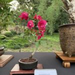 Photo Nov 21, 9 14 21 AM