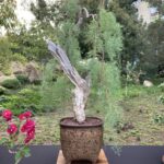 Photo Nov 21, 9 14 29 AM