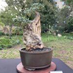 Photo Nov 21, 9 14 35 AM