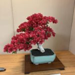 435090015_8059975670696638_47211435692705467_n