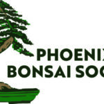 PBS Logo Design(07.2025)