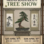 Tree Show VGC 2026