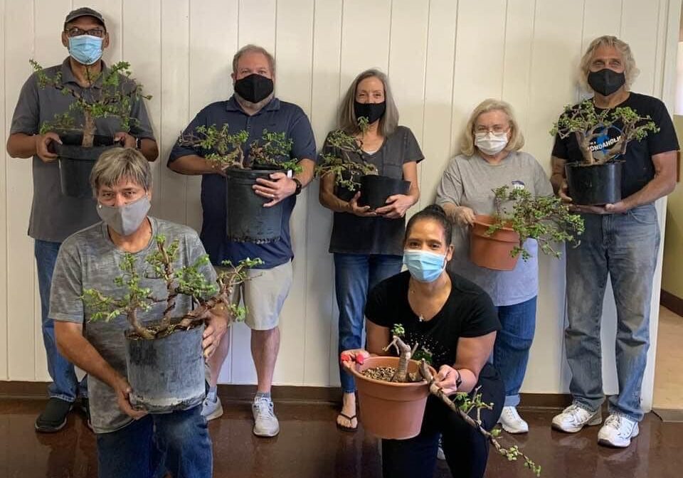 COVID Warriors!
Our “best” new beginners.
When you absolutely HAVE to learn the art of Bonsai.
Thank you to the 2020 Fall participants and our dedicated Phoenix Bonsai mentors.
I will do my best to make your expectations a reality.~Jenna