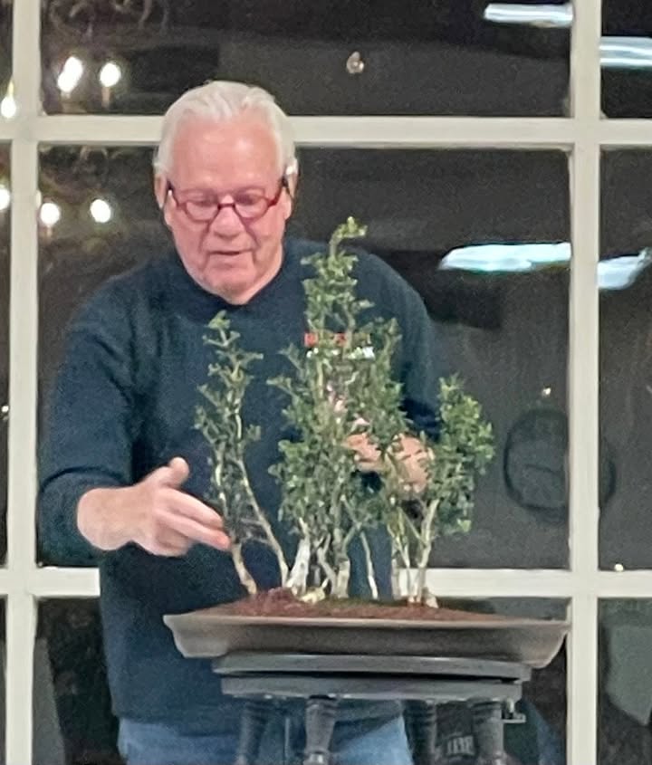 Phoenix Bonsai Society