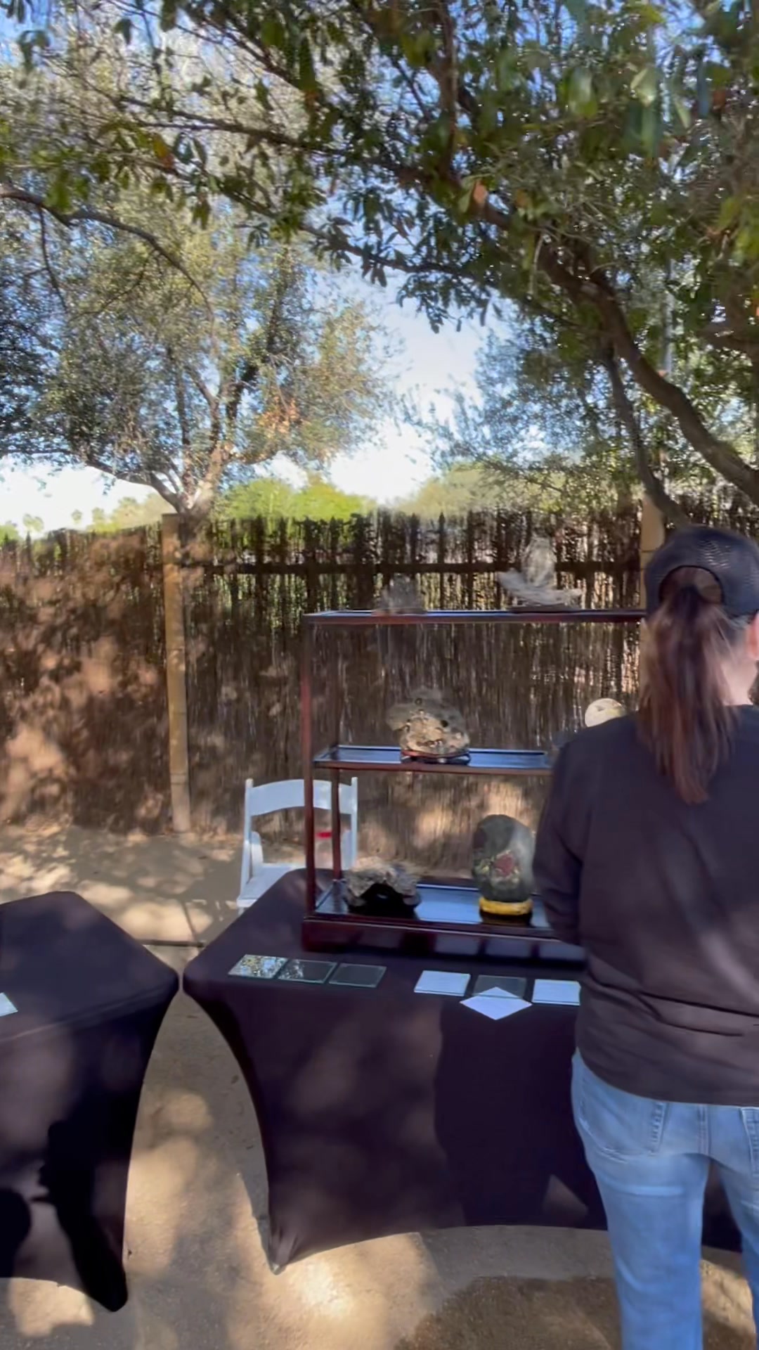 Phoenix Bonsai Society