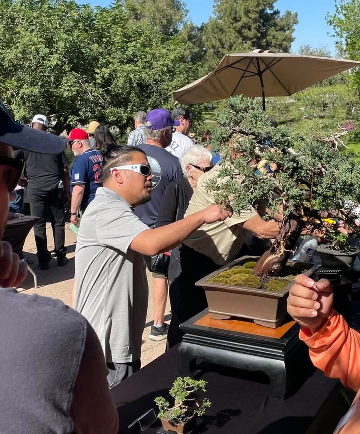Phoenix Bonsai Society