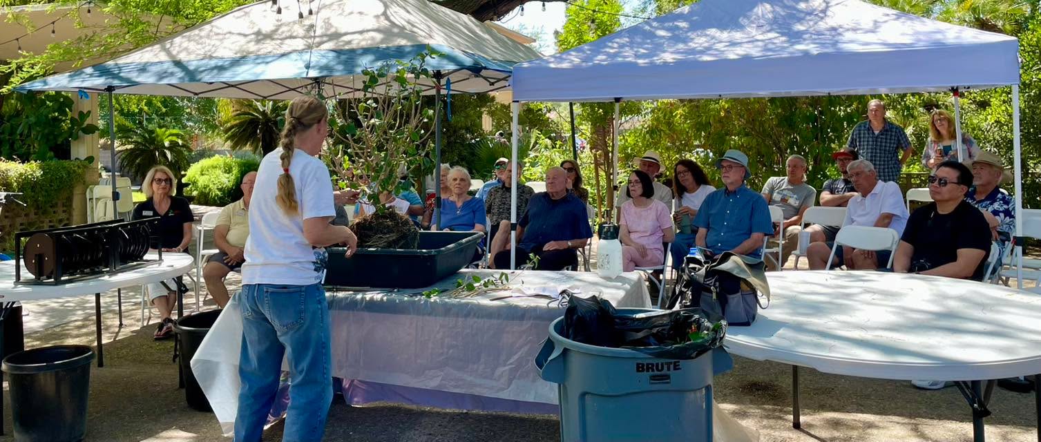 Phoenix Bonsai Society