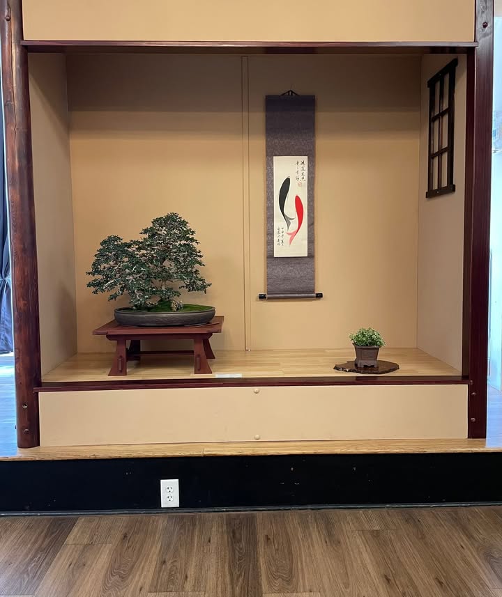 Phoenix Bonsai Society