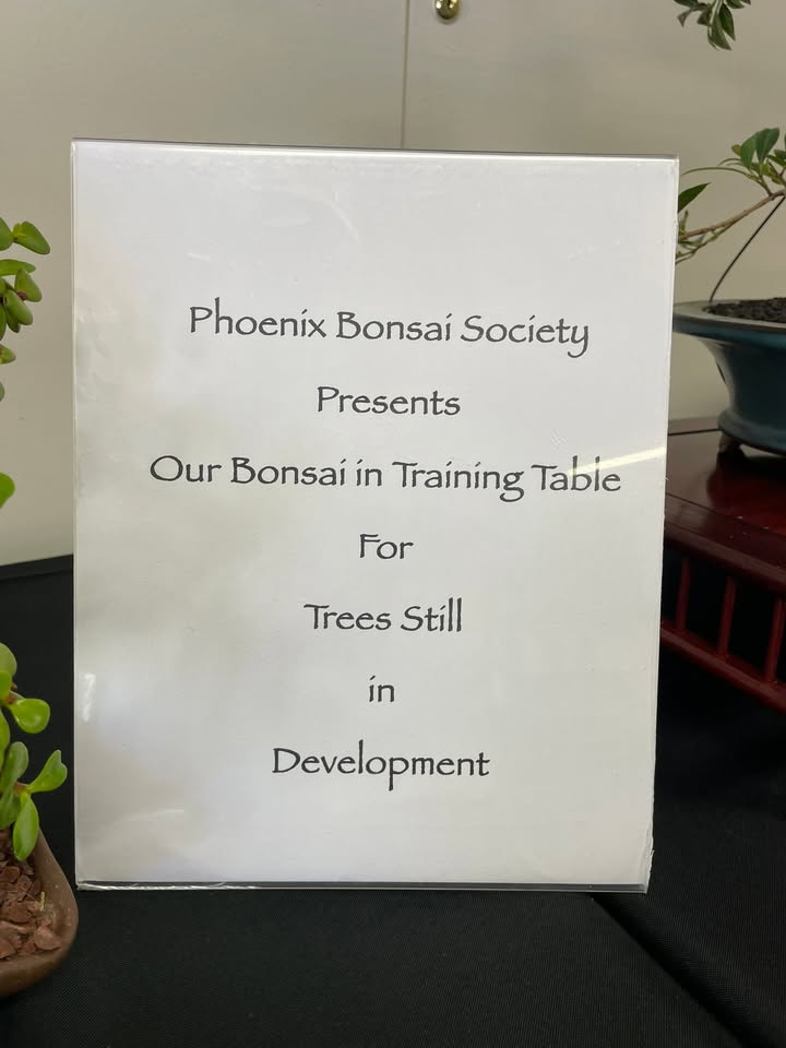 Phoenix Bonsai Society