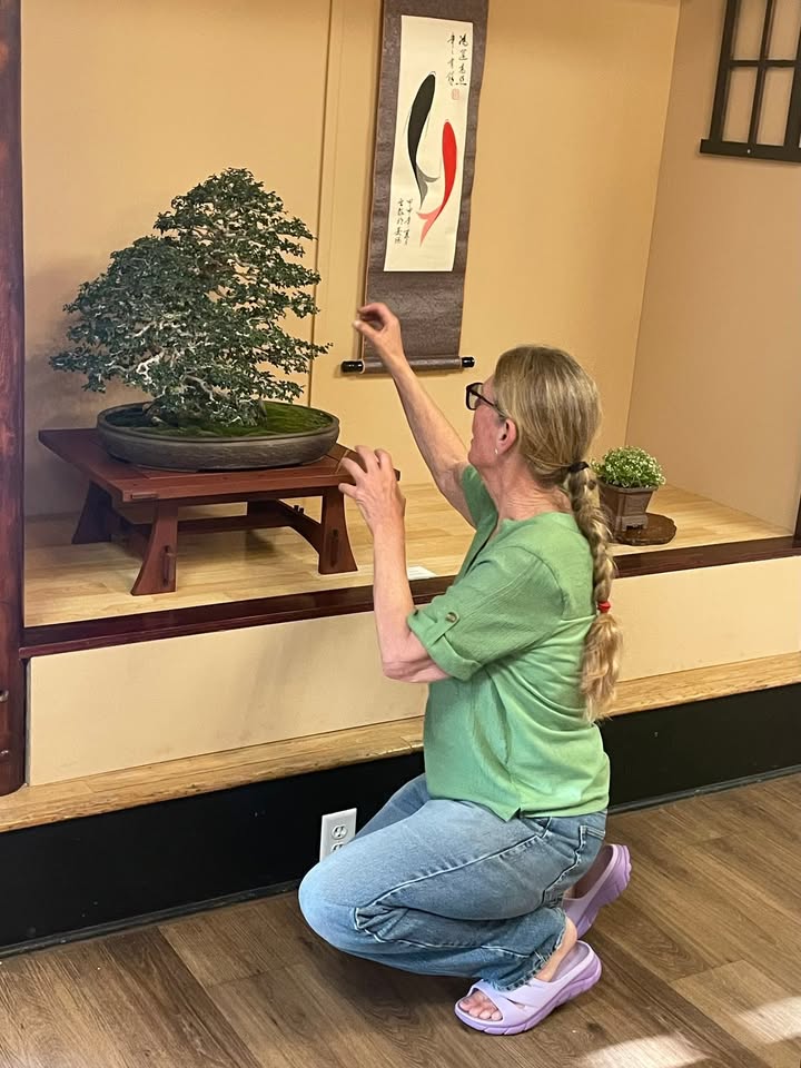 Phoenix Bonsai Society