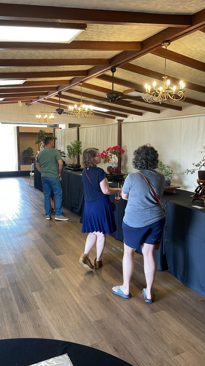 Phoenix Bonsai Society