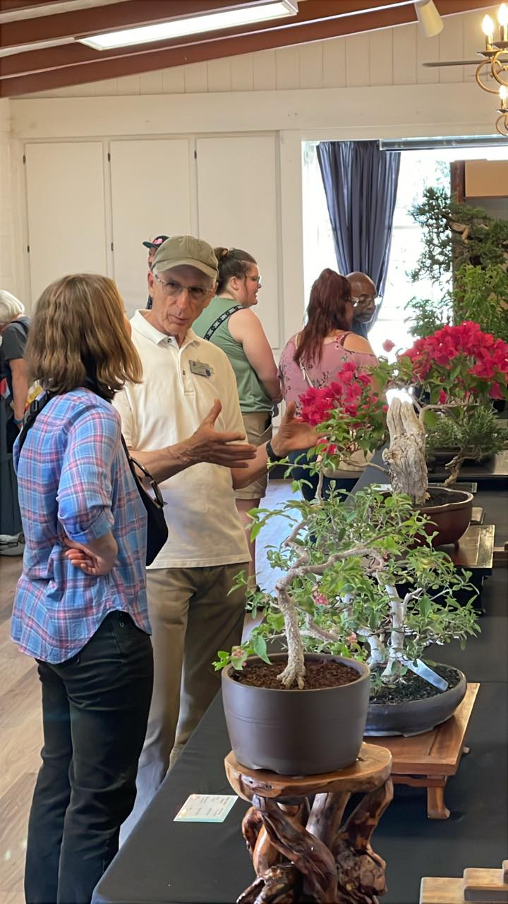 Phoenix Bonsai Society