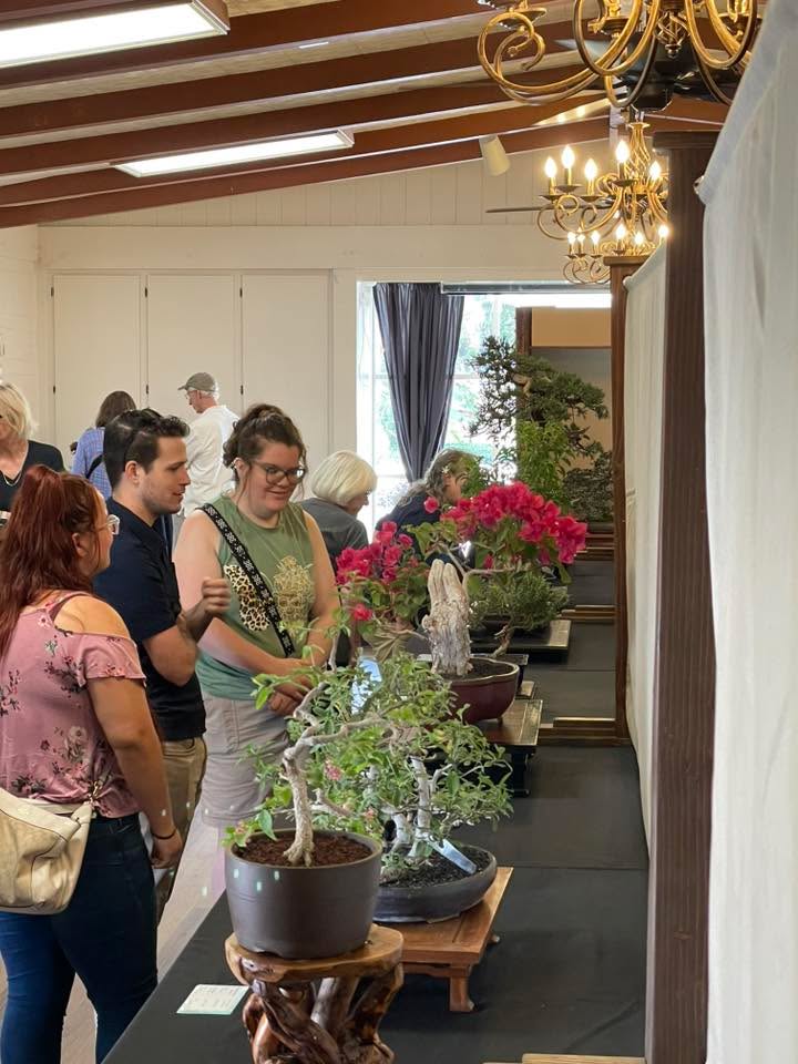 Phoenix Bonsai Society