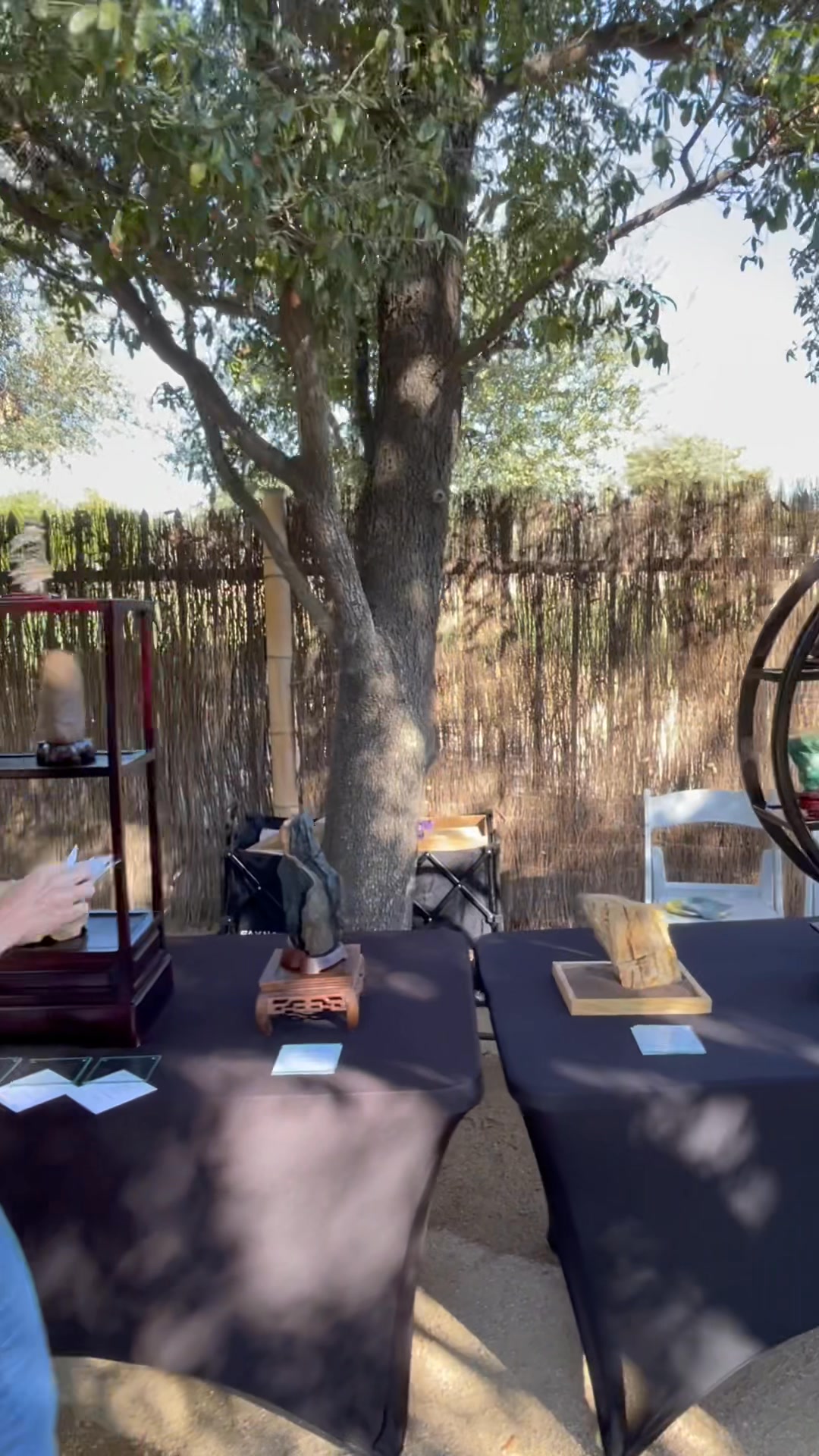 Phoenix Bonsai Society