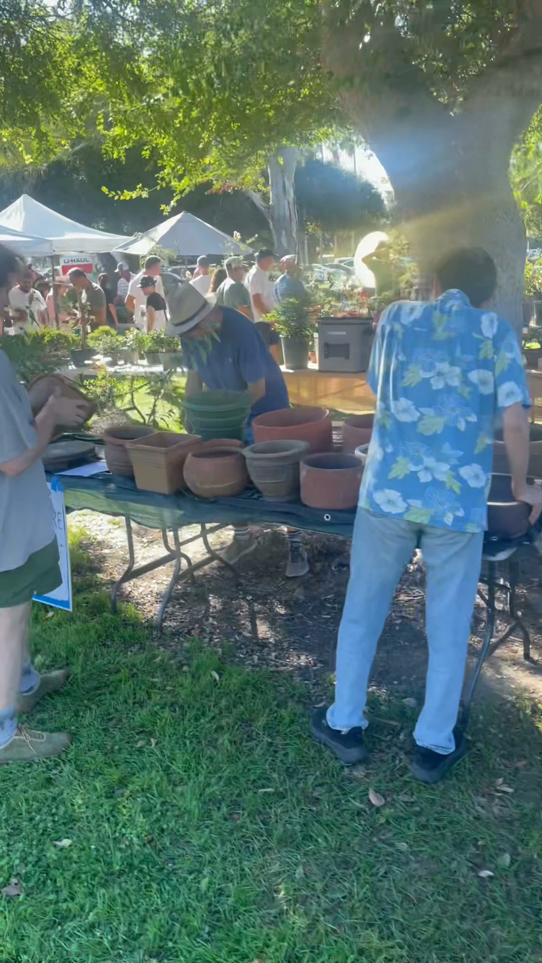 Phoenix Bonsai Society