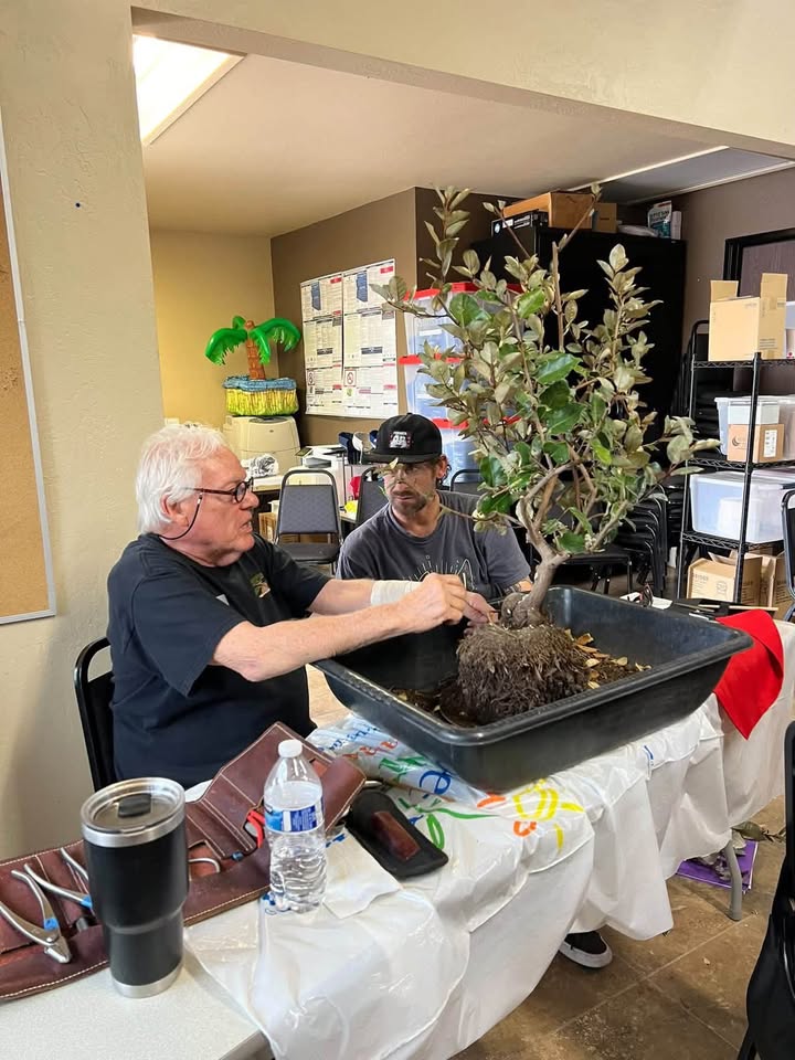 Phoenix Bonsai Society